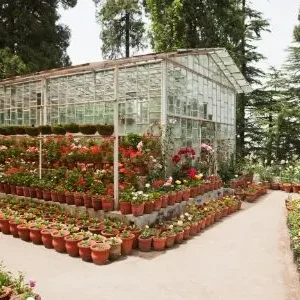 CompanyGarden-1684466276044